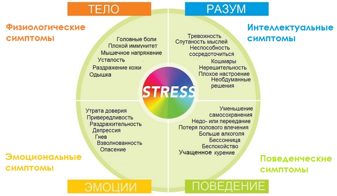 Откуда берутся болезни?