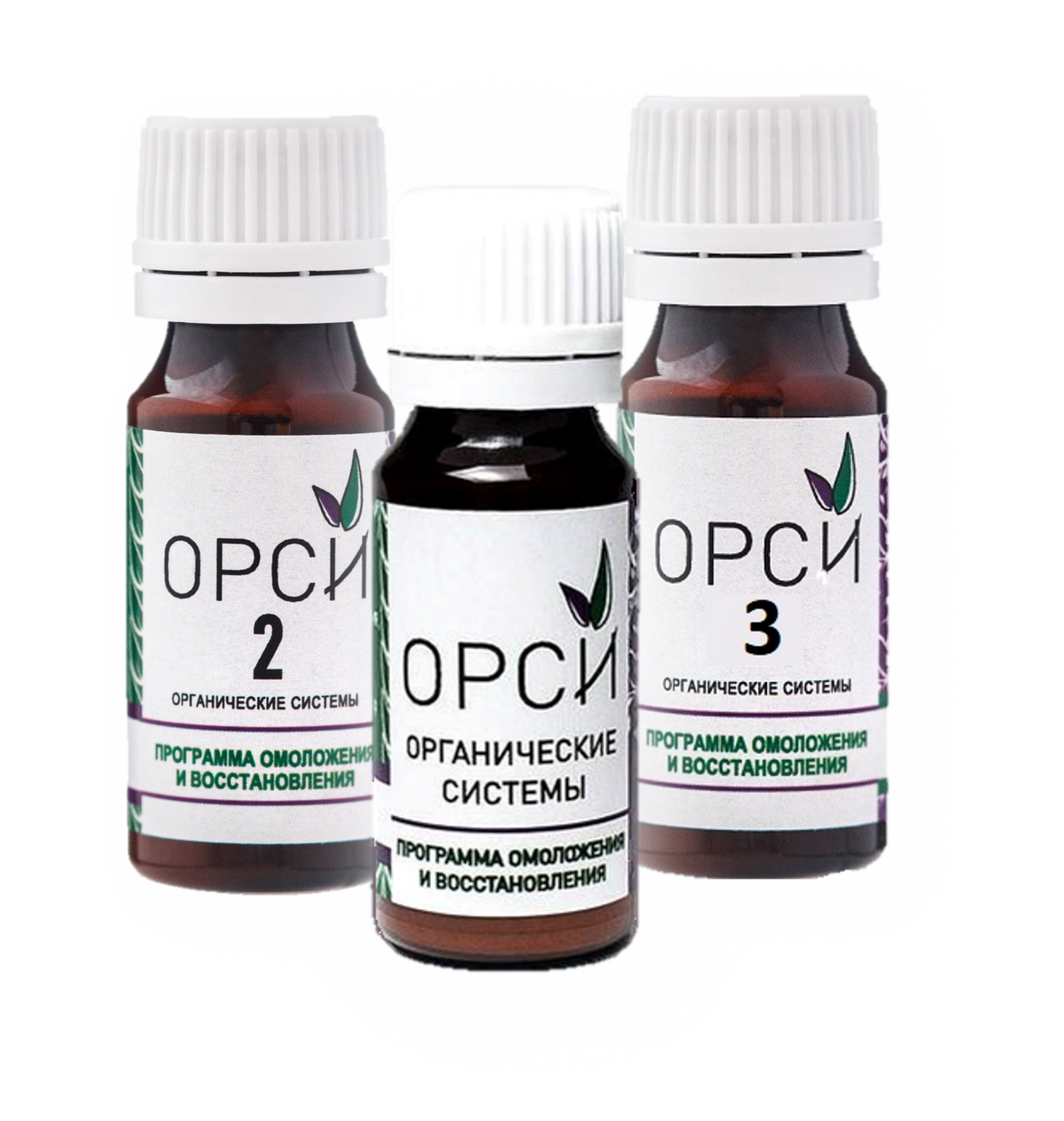 ОРСИ -программа восстановления и омоложения организма ОРСИ - органические системы. Программа восстановления и омоложения организма